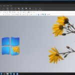 Best Snipping tool for Windows 11